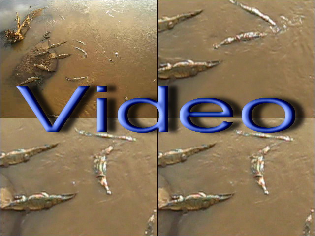 ../Images/Hungry Residents.jpg
